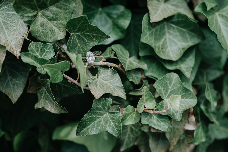 Engagement rings in ferns for a detail photo. 