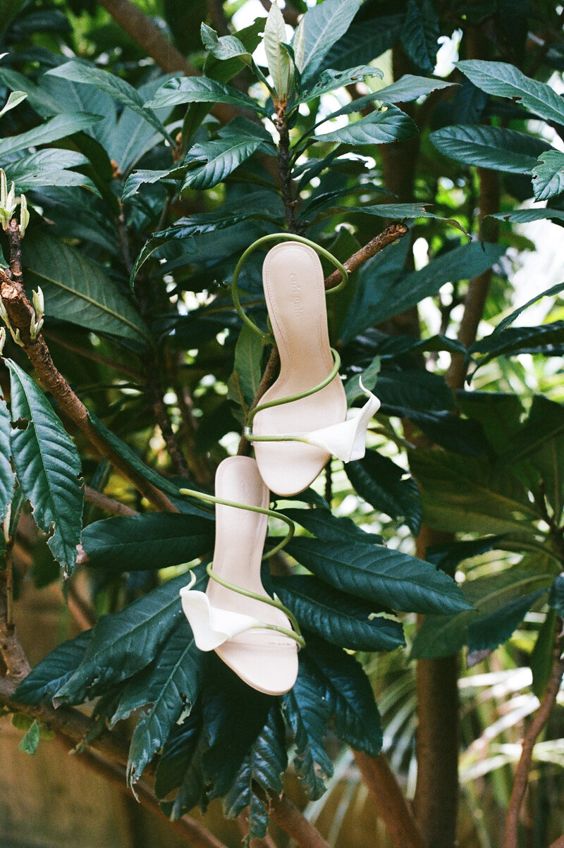 Maddie Briggs Photography-45