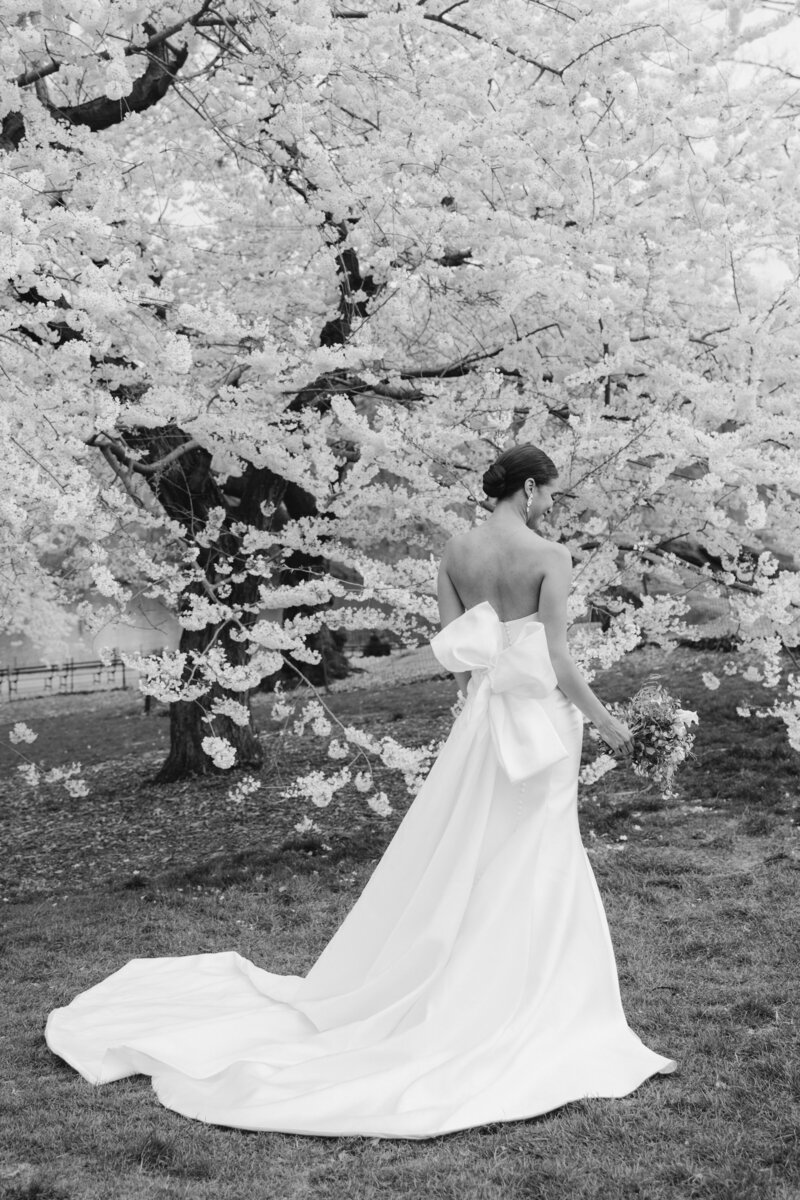 4.10.25_amv_central_park_editorial_nyc_web-5