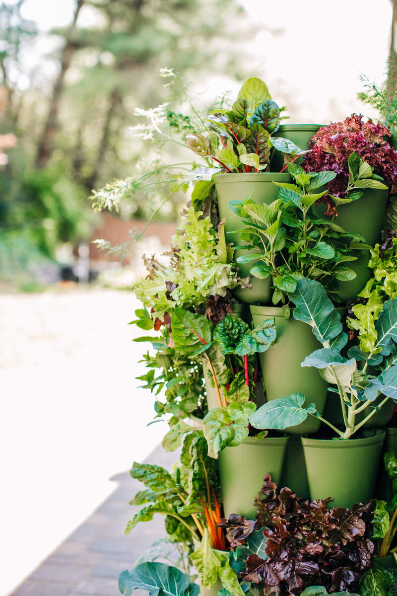 Sign up greenstalk garden