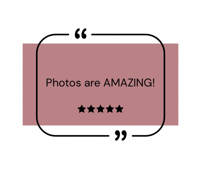 Petal & Pine Photography client review