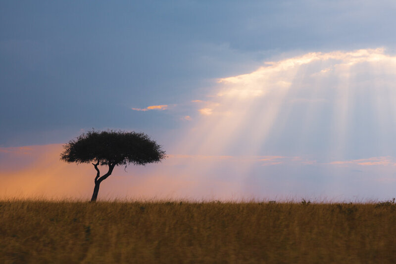 safariedited-541