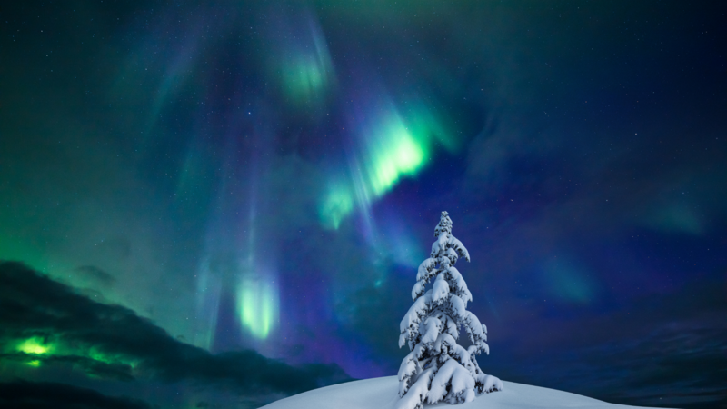Hungry for Healing website Images (40)