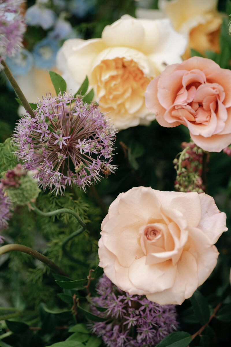 Close up image of colorful flowers