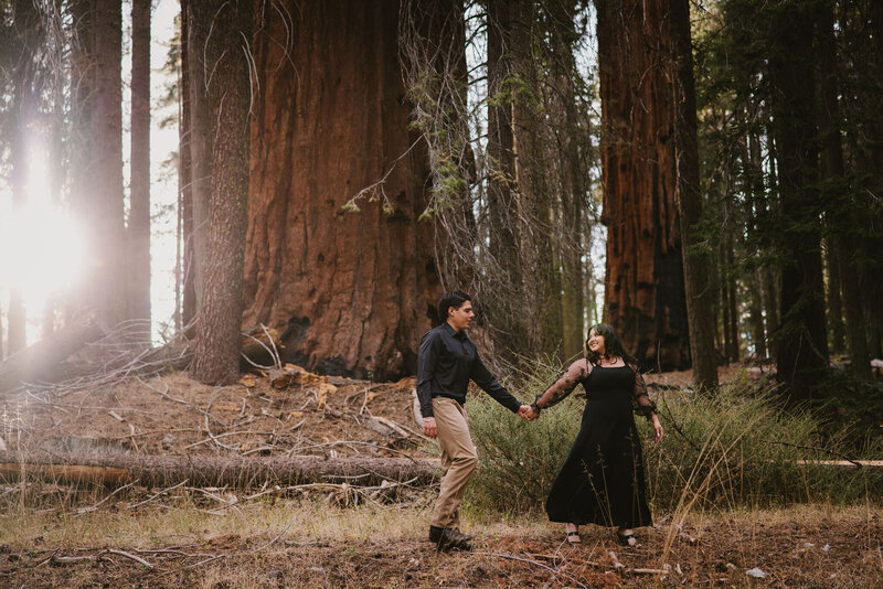 Sequoia National Park Engagement Photographer3510