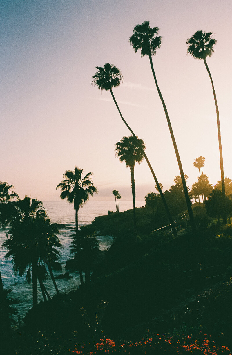 Christina Cernik Photo Laguna Beach