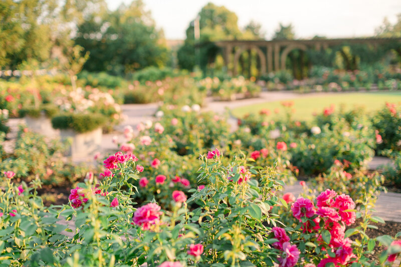 Family-photos-at-thanksgiving-point-rose-gardens-utah