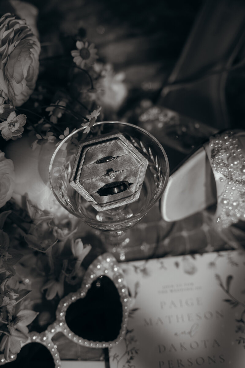 PaigeDakotaWeddingTeasers-012