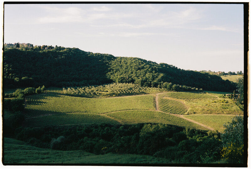 C&S - FILM-18