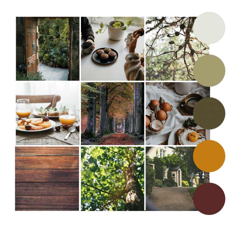 moodboard ombre des arbres 2