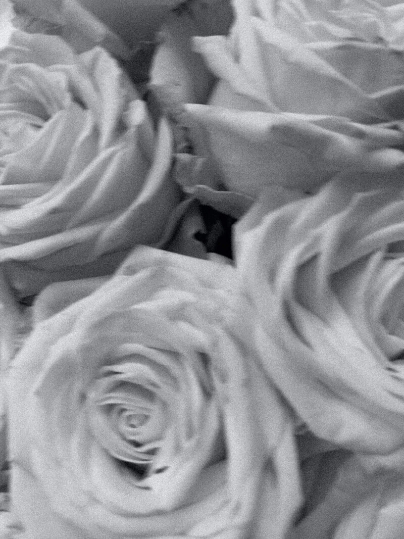 YOUR IMAGE DESCRIPTION