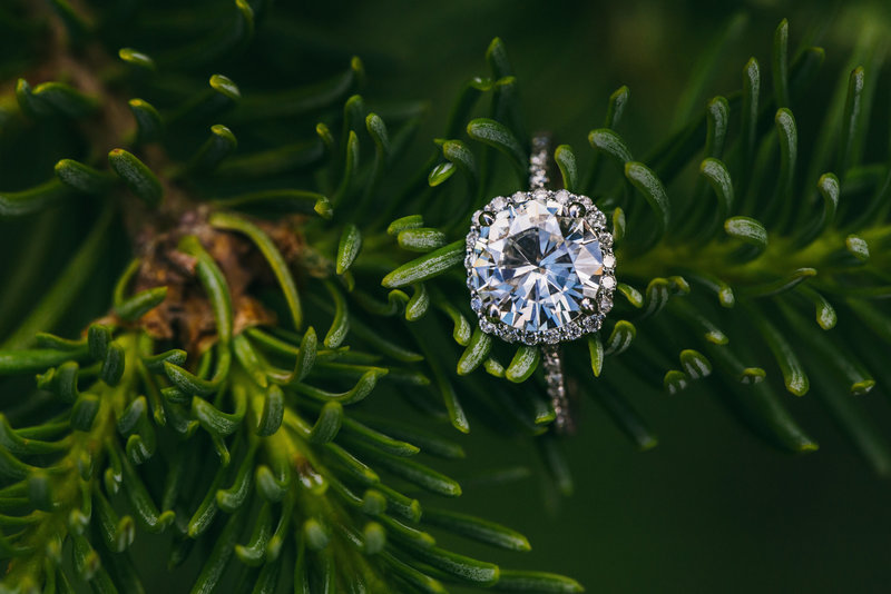 Kevin and Megan-Kevin and Megan-0219