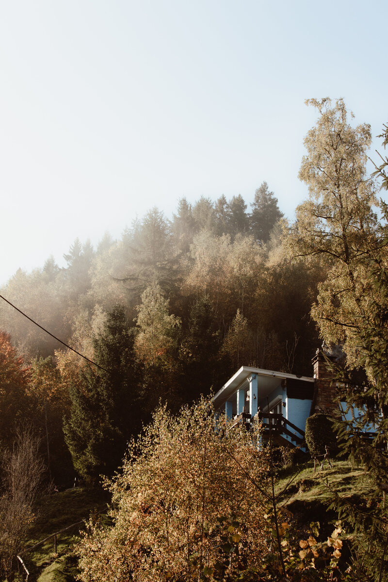 JolijnGommansPhotography_WilderlandsoftheArdennes_okt2025-9