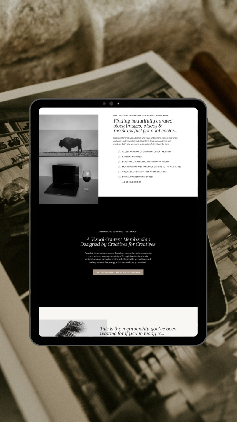 Editorial Stock Images