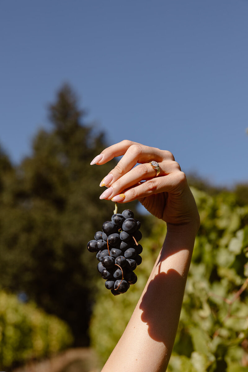 AmandaMichaelWedding-249_websize