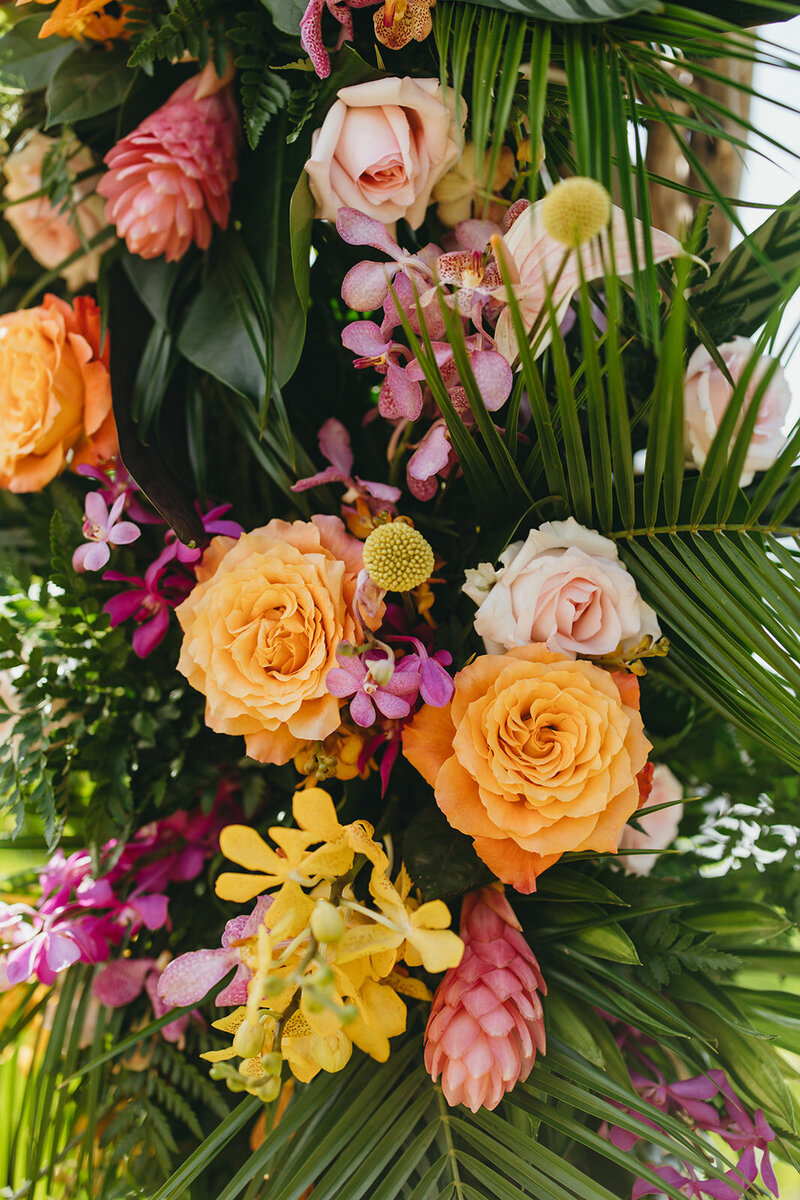 Nicole Brooke Photography Maui Wedding Elopement and Lifestyle Photographer17