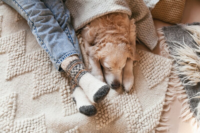In-Person Therapy in Greenwood Village