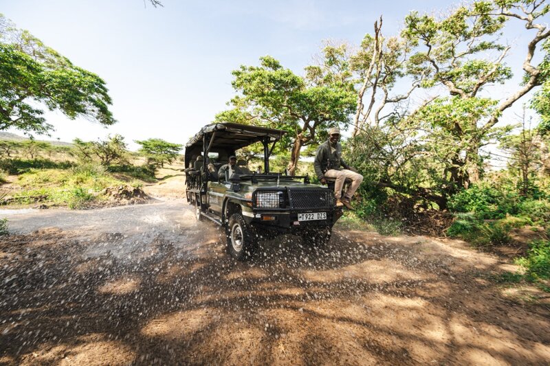 TAASA Lodge - Safari & Wildlife (16)