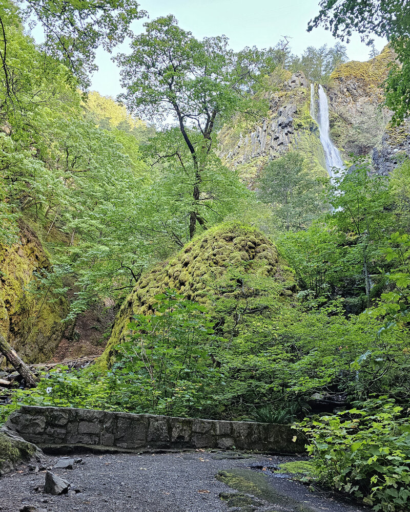 Stumble upon a charming 'peek-a-boo' waterfall slightly off the main path at Viento State Park with The Gorge E-Bike Adventure Rentals
