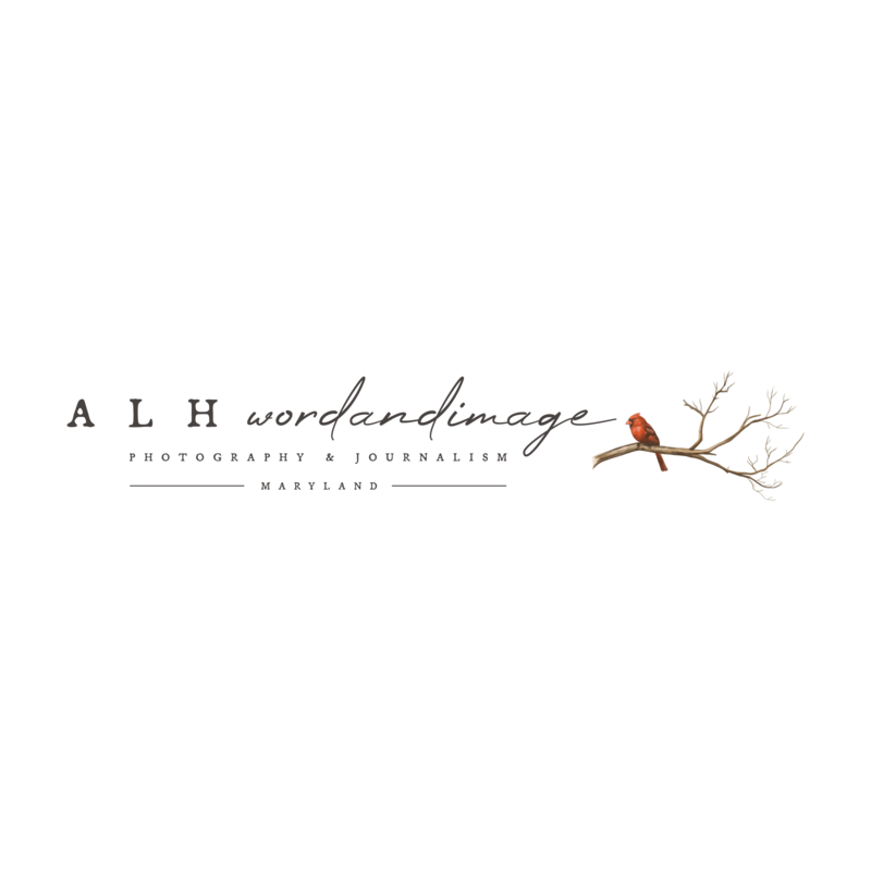 alh wordandimage logo