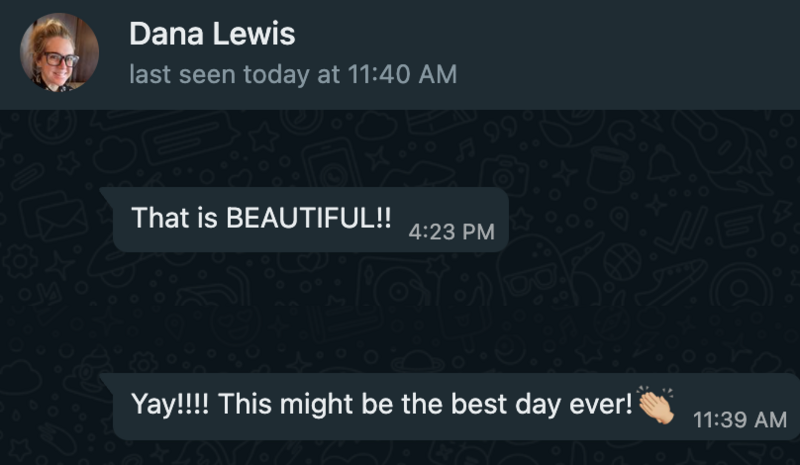 vip-design-day-testimonial-dana