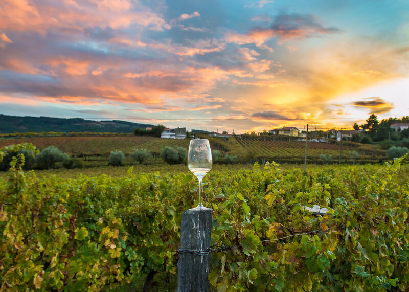 wine glass vineyard backdrop