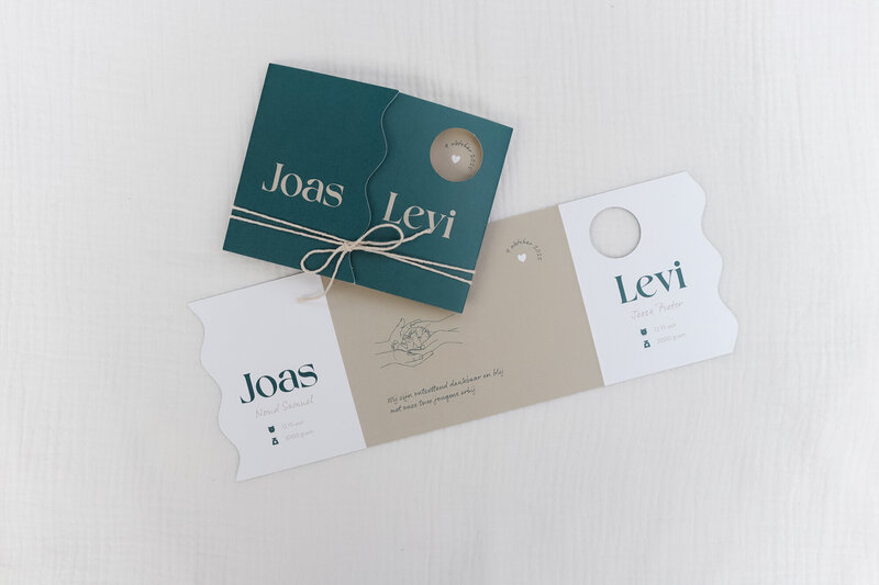 Uniek-tweeling-geboortekaartje-met-stansvorm-Joas-Levi-35