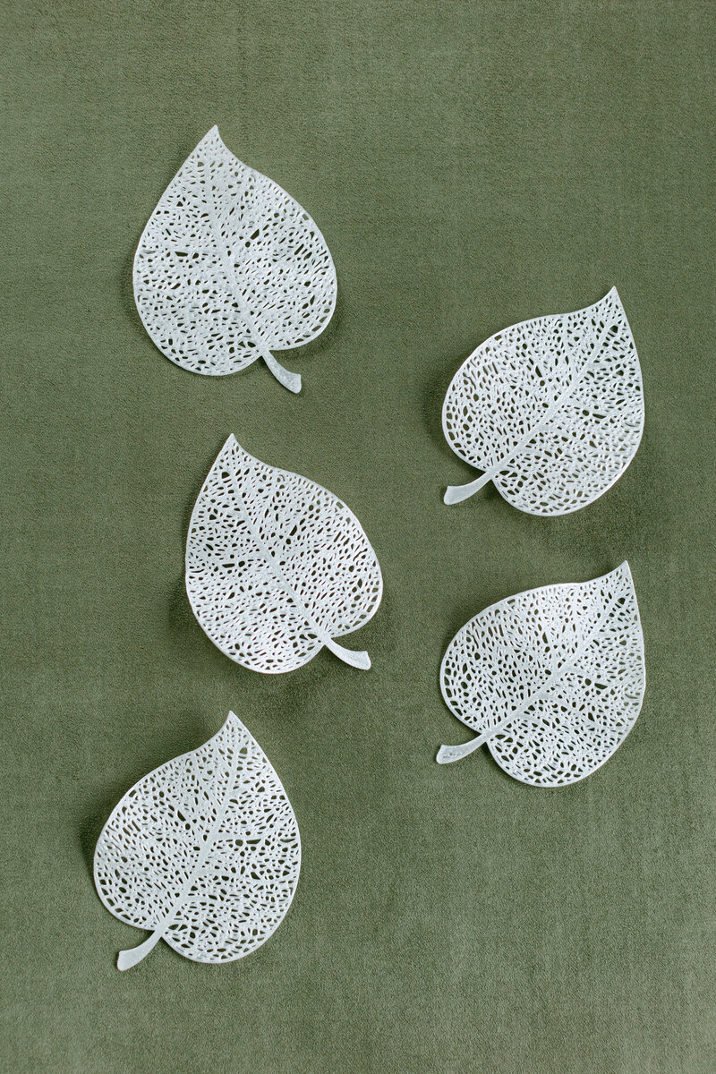 Delicate gossamer leaf used as a styling prop in flat lay photography