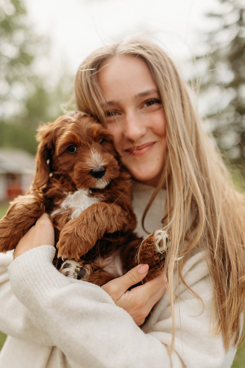 baldonnel-lane-labradoodles-breeder-alberta-bc-135