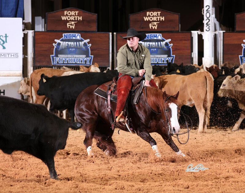 Horse sale performance with cattle