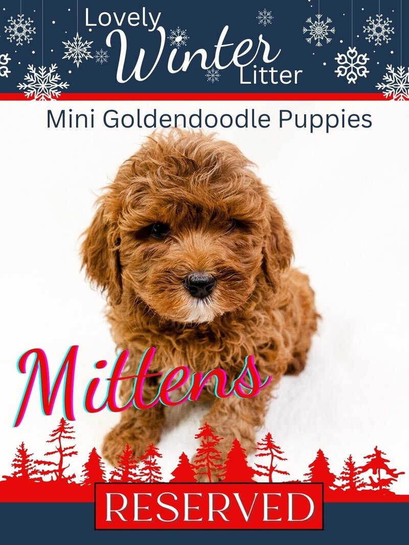 Winter - Red Mittens Female