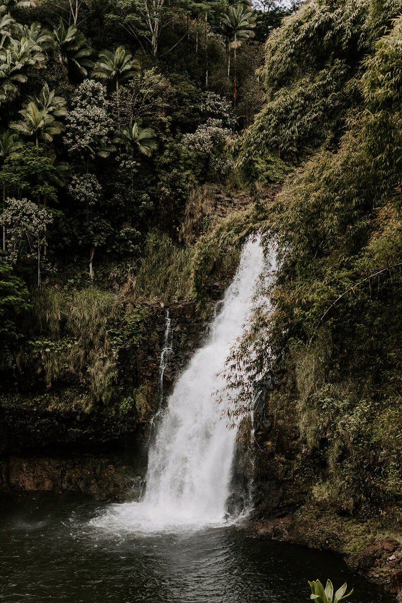 22.04.28_22.04.29_Sarah and Josh_Hilo Hawaii Elopement _0267_websize