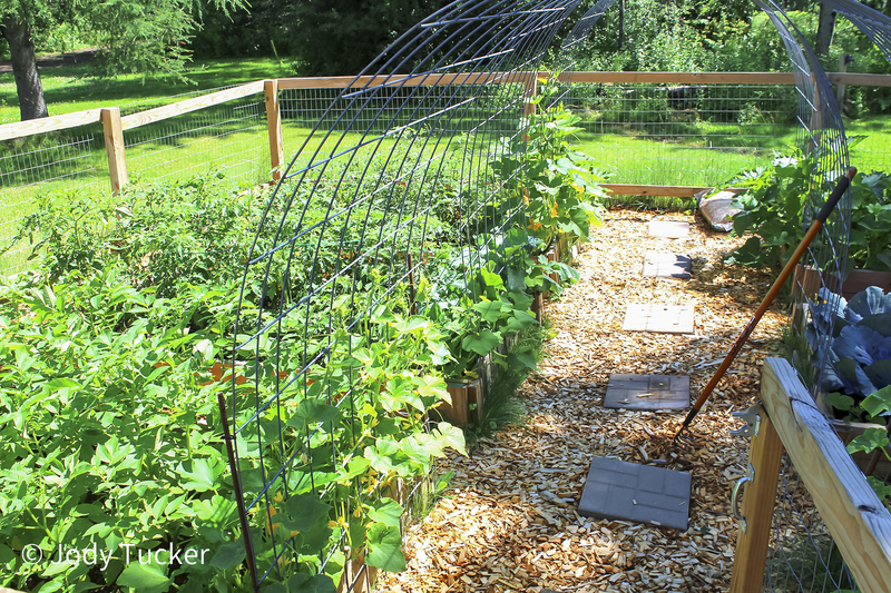 left side of garden 2025