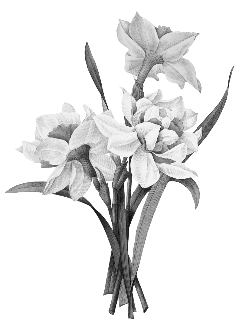 long stemmed floral bundle