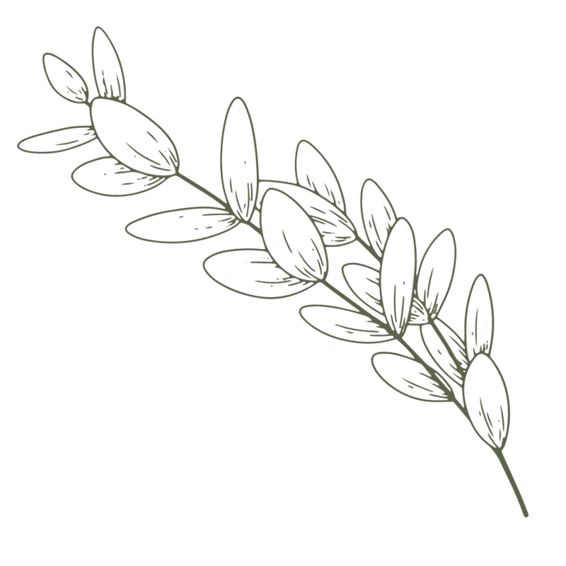 An image of an olive green stem of leaves