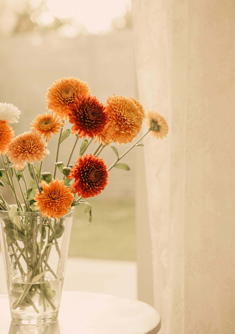 Orange and rust dahlias in a vase