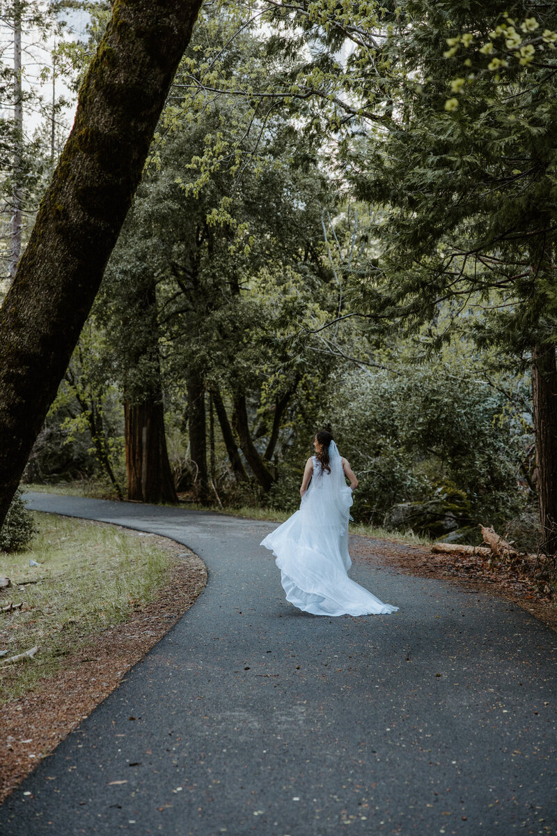 Bride eloping in mossy forest trail in Washington