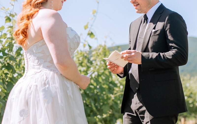 King-Family-Vineyard-Virginia-Wedding-Photographer-Heather-Dodge_0147