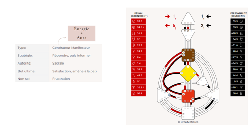 Formation types énergétiques Human Design - Photo de présentation avec un ordinateur portable ouvert sur un bureau