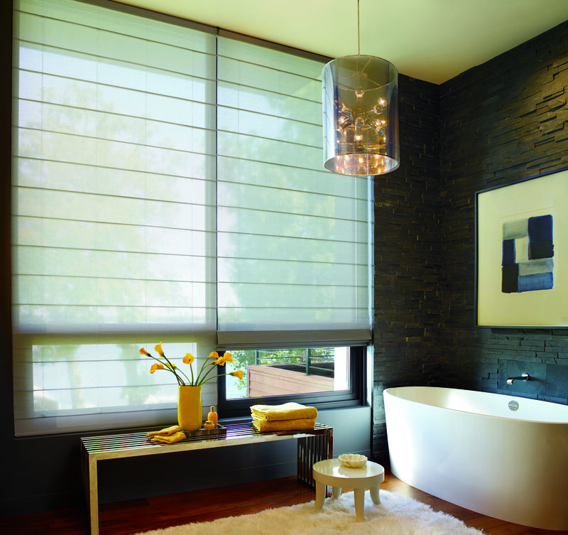 Living space window blinds