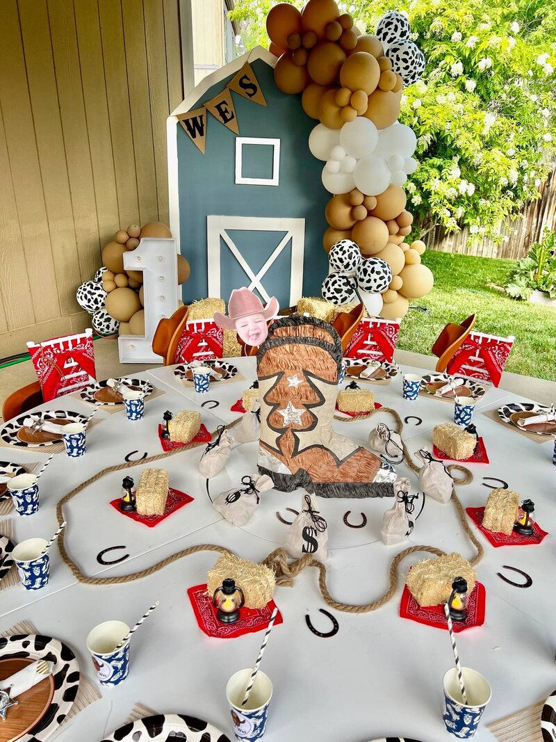 cowboy-farm-themed-party-kids-erie-co (9)