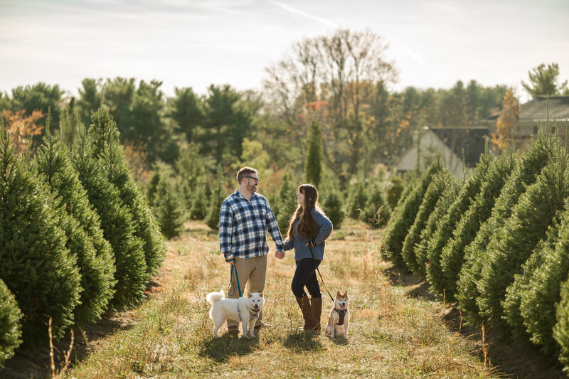 A couple with their two dogs standing among the Christmas trees during a holiday mini session in the Greater Philadelphia area.