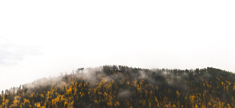 0N3A0510