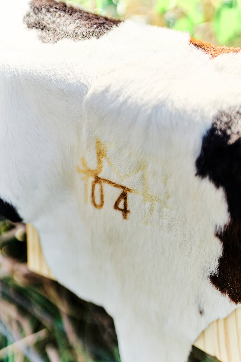 MPY_JB_B_A73_100425_2191