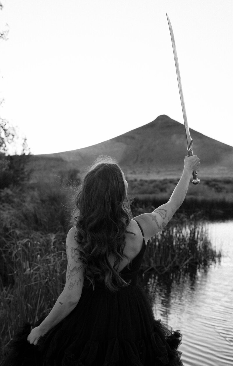 fantasy.photoshoot.golden.hour.draft.horse.lotr-137