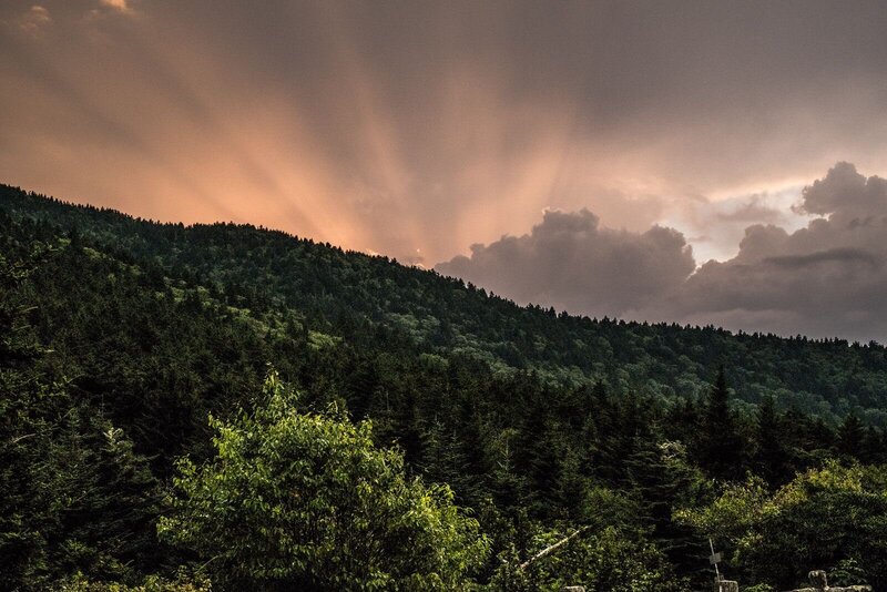 landscape photo of trees and sunset