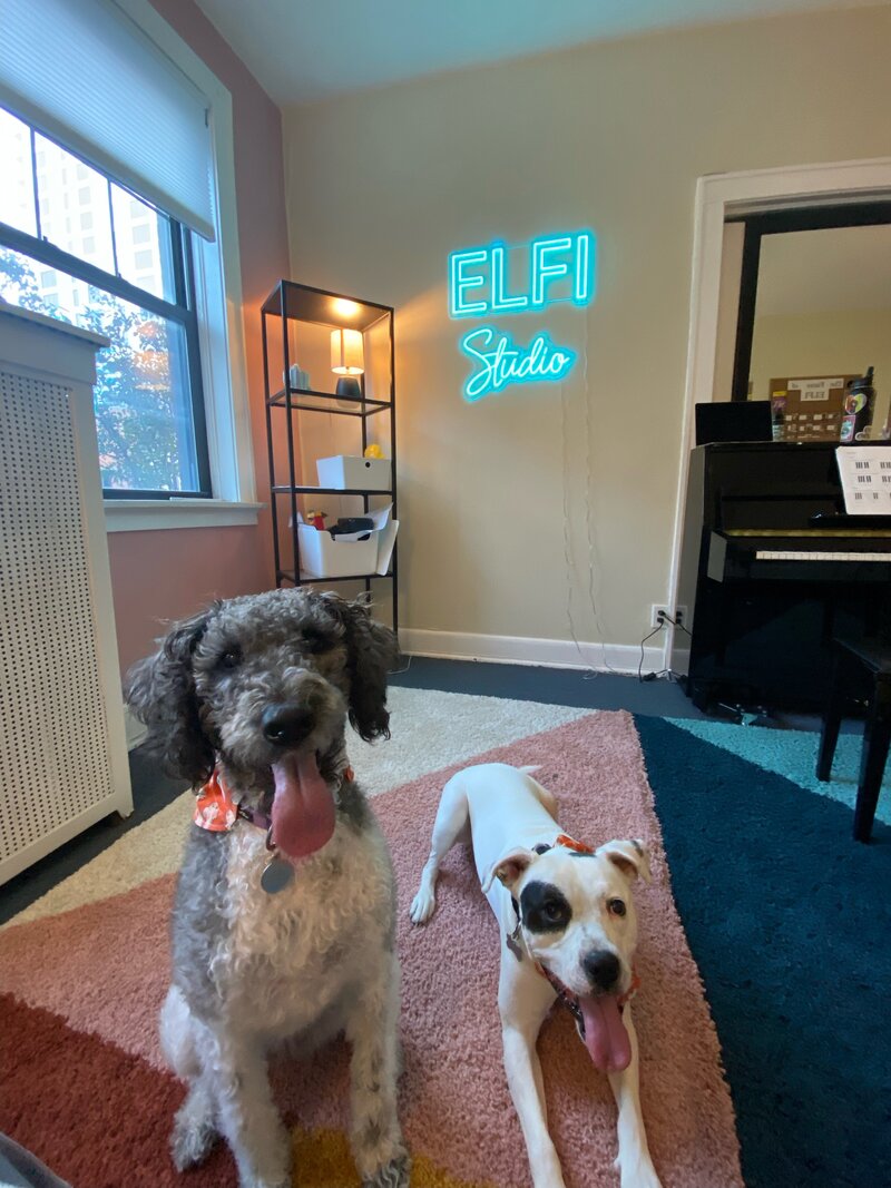 Dogs in S2
