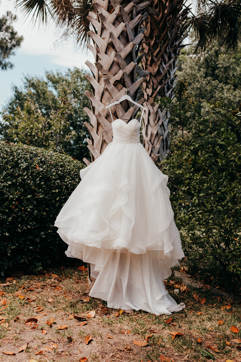 wedding dress hanging by a palm tree