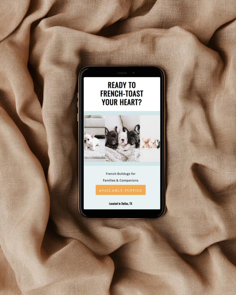 Unleashed Modern Neutral Digital Product Mobile Mockup Promotional shot on a light brown cloth