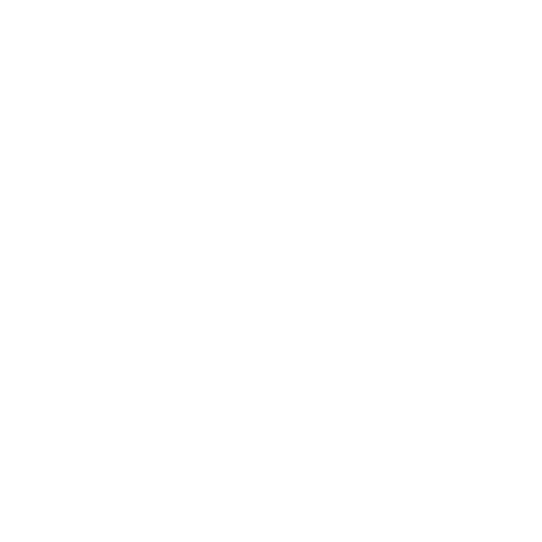 Fleur soieés (8)